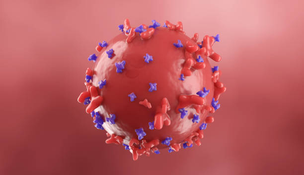 Proteins with Lymphocytes , T-Cells or Cancer Cells Proteins with Lymphocytes , T-Cells or Cancer Cells t cell photos stock pictures, royalty-free photos & images