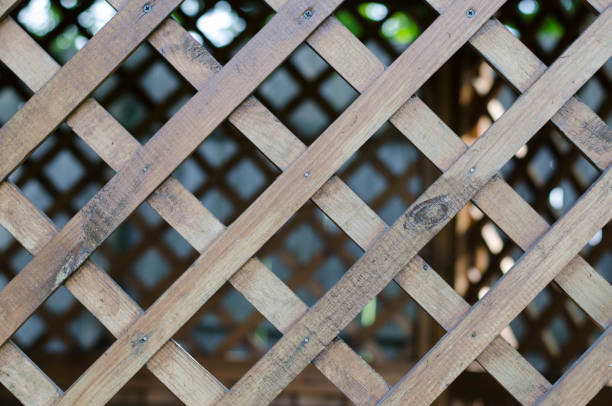 istock Wooden lattice. Tree structure. Wooden fence. 1247173221