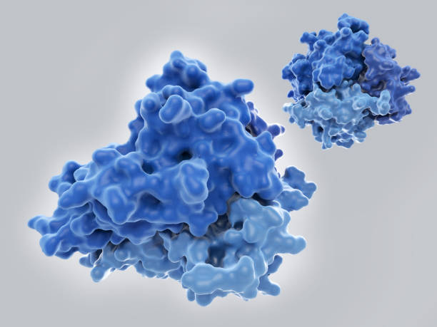 istock The tumor necrosis factor (TNF), a cytokine involved in inflammation processes. 1247180382