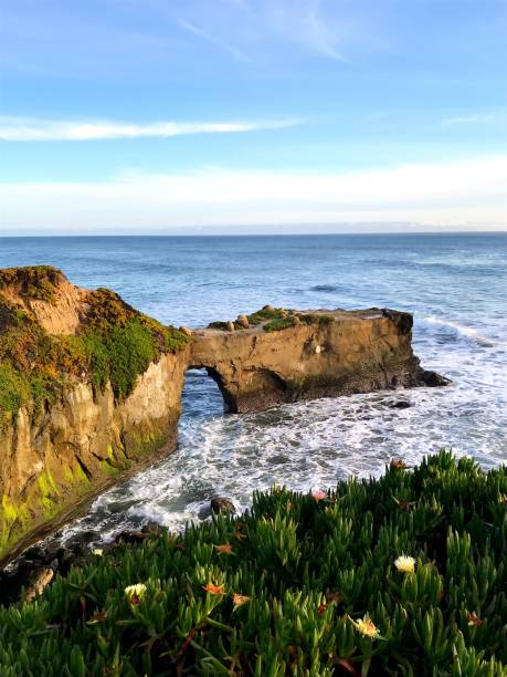istock Sunset in Santa Cruz 1247201602