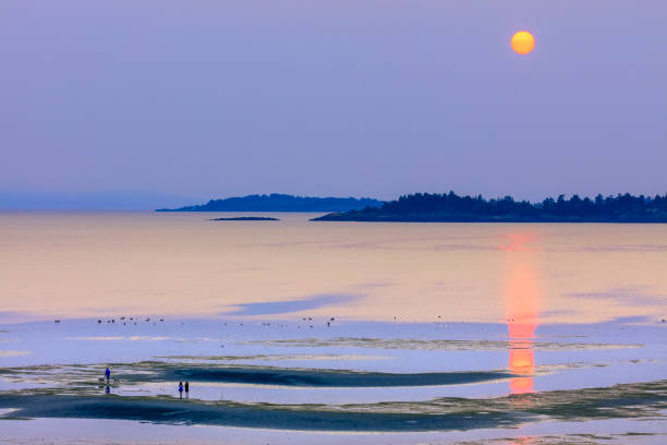View of the Strait of Georgia and the coastal mountains from Vancouver Island, British Columbia