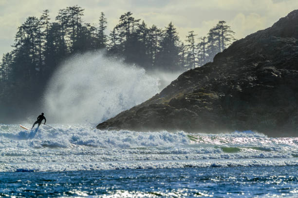 wyspa vancouver kolumbia brytyjska - surfing sport extreme sports success zdjęcia i obrazy z banku zdjęć