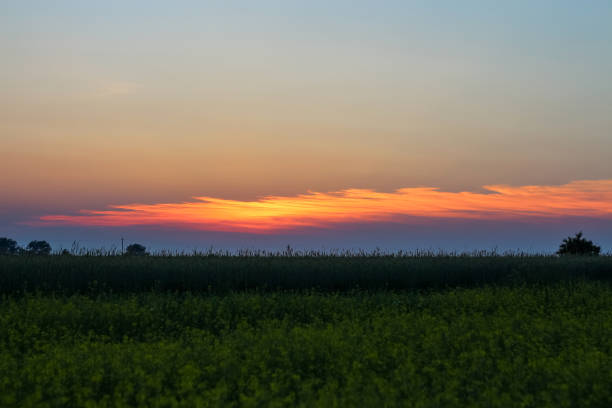 Beautiful landscape with a colorful sunset over the forest