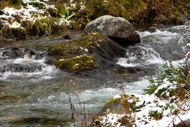 istock mountain river on snowy autumn morning 1247231410
