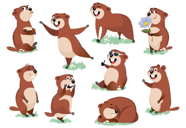 marmot veya kunduz vahşi hayvan doğa üzerinde dinlenme - groundhog stock illustrations
