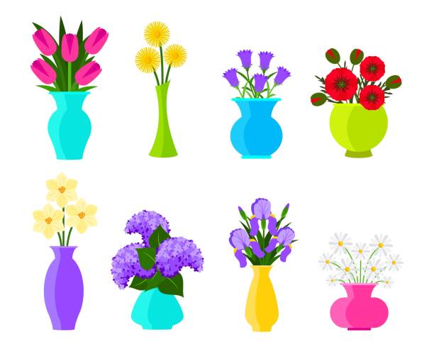 illustrazioni stock, clip art, cartoni animati e icone di tendenza di mazzi di fiori in vasi in stile piatto. set di fiori estivi e primaverili. illustrazione di fiori vettoriali isolata su sfondo bianco - hyacinth flower vase daffodil