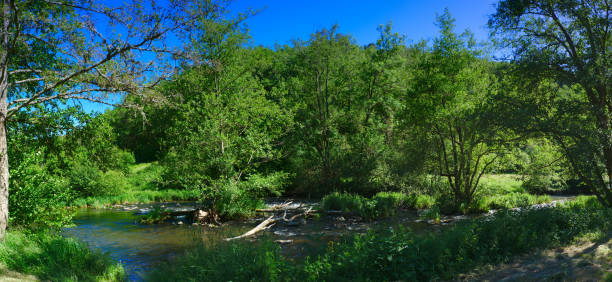 panoramic view of the Sioule river (Puy-de-Dome, Auvergne, France) flowing between the trees in summer
