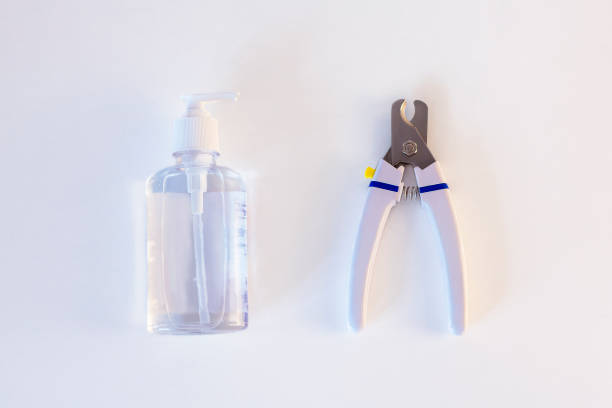 istock Pet claw scissors and bottle with transparent antiseptic, laying on white background. Concept of dogs or cats claw care. 1247244759