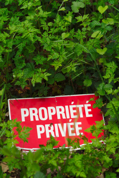 istock 'private property' sign in green leaves 1247245459