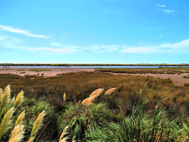 istock Seaside landscape  in Ecological Reserve Park in  Punta Rasa. 1247251762