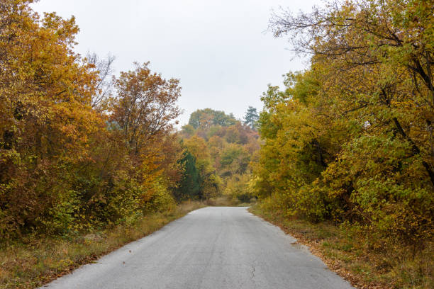 istock Autumn in Rhodopy Mountain Bulgaria 1247266583