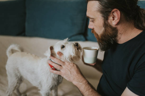 istock Pet owner is taking care and playing with his dog 1247271265
