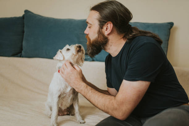 istock Pet owner is taking care and playing with his dog 1247271267