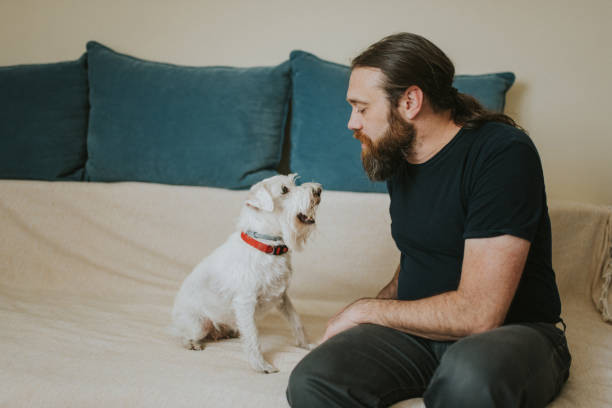 istock Pet owner is taking care and playing with his dog 1247271271