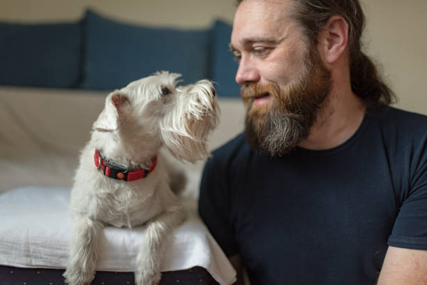 istock Pet owner is taking care and playing with his dog 1247271274