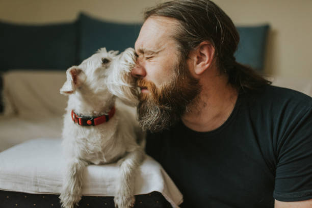 istock Pet owner is taking care and playing with his dog 1247271275