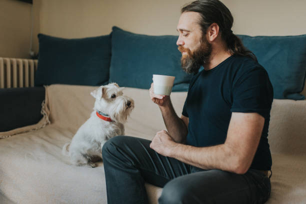 istock Pet owner is taking care and playing with his dog 1247272310