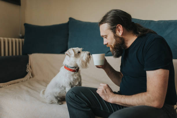 istock Pet owner is taking care and playing with his dog 1247272311