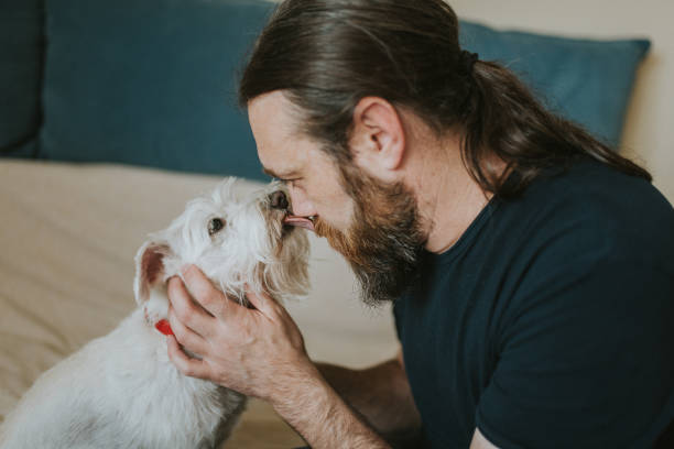 istock Pet owner is taking care and playing with his dog 1247272319