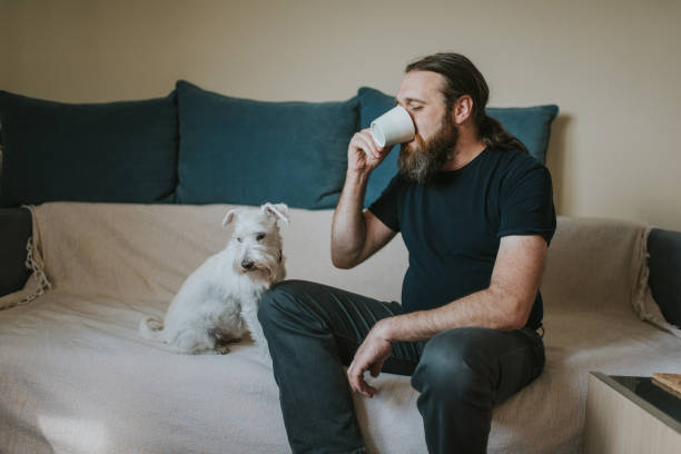istock Pet owner is taking care and playing with his dog 1247272320
