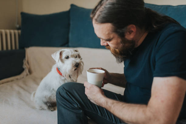 istock Pet owner is taking care and playing with his dog 1247272323