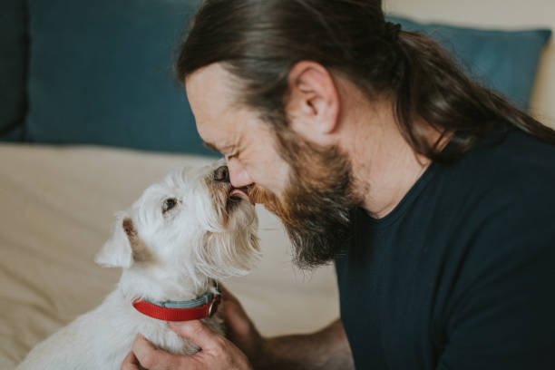 istock Pet owner is taking care and playing with his dog 1247272324