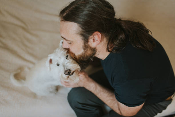 istock Pet owner is taking care and playing with his dog 1247272338