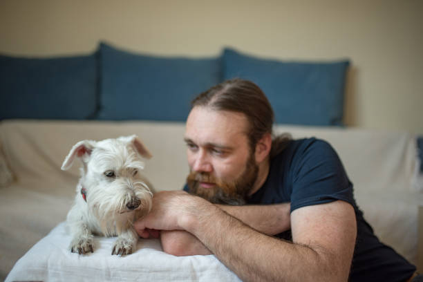 istock Pet owner is taking care and playing with his dog 1247272363