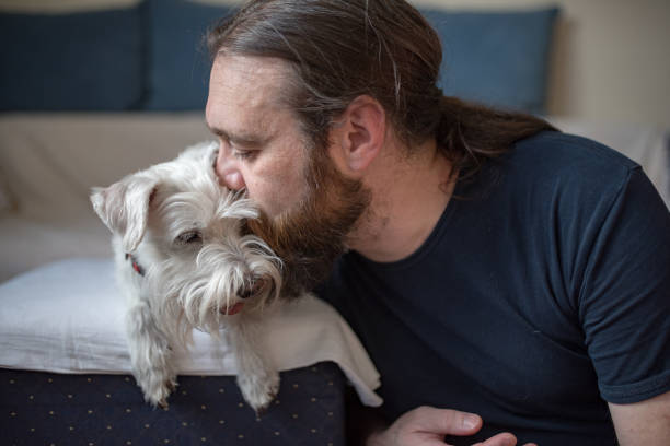 istock Pet owner is taking care and playing with his dog 1247272370