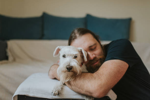 istock Pet owner is taking care and playing with his dog 1247272396