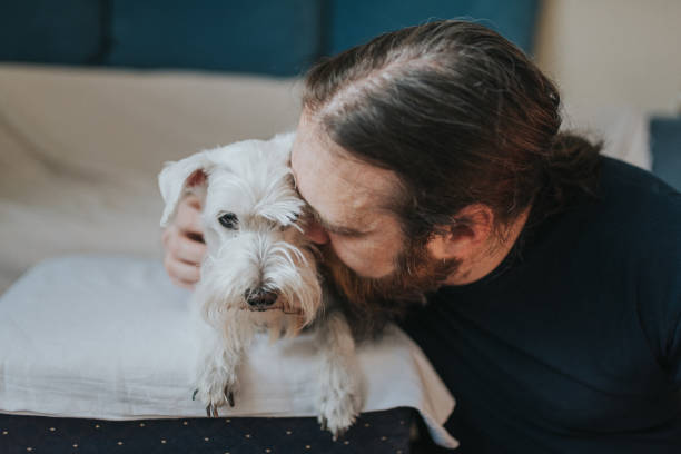 istock Pet owner is taking care and playing with his dog 1247272404