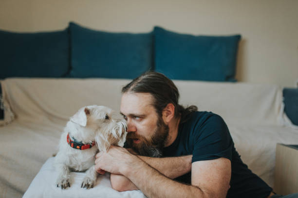istock Pet owner is taking care and playing with his dog 1247272405