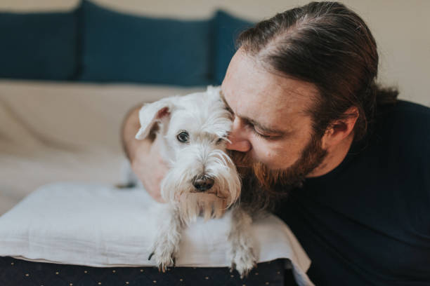 istock Pet owner is taking care and playing with his dog 1247272428