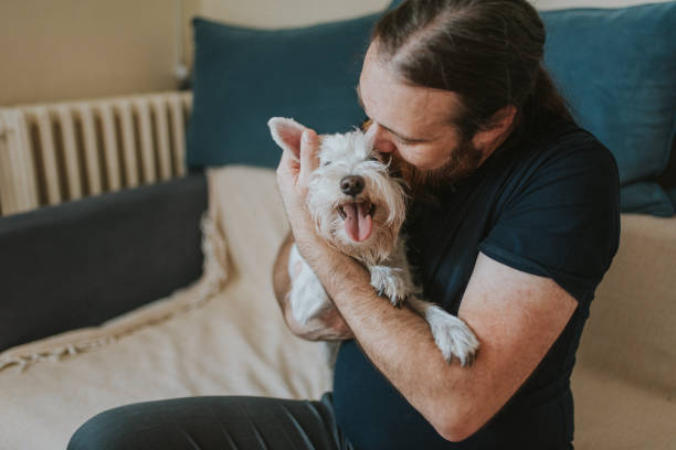 istock Pet owner is taking care and playing with his dog 1247272431