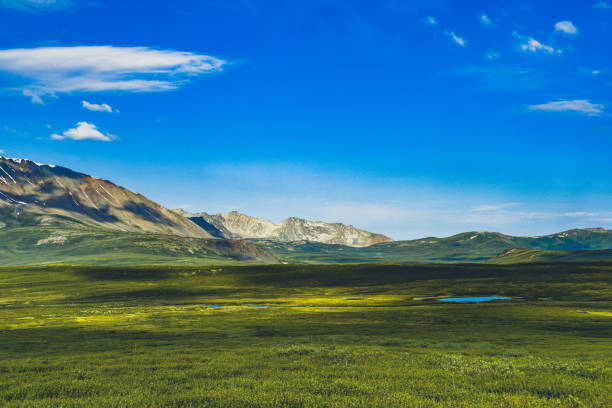 mountain valley under blue sky for trekking and adventure, rock ridge on horizon