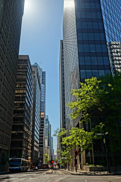 istock Downtown Montreal, June 06, 2020 1247295737