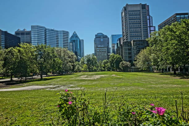 istock Downtown Montreal, June 06, 2020 1247299301