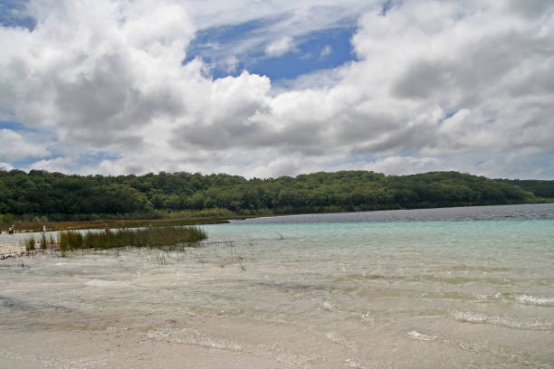 istock Fraser Island Natural Reserve 1247322813
