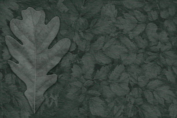 Photograph - Oak Leaf over Abstract Leaves Background, Muted Colors with Copy Space