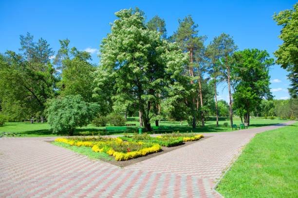 istock gardens and pavement in the park 1247342942