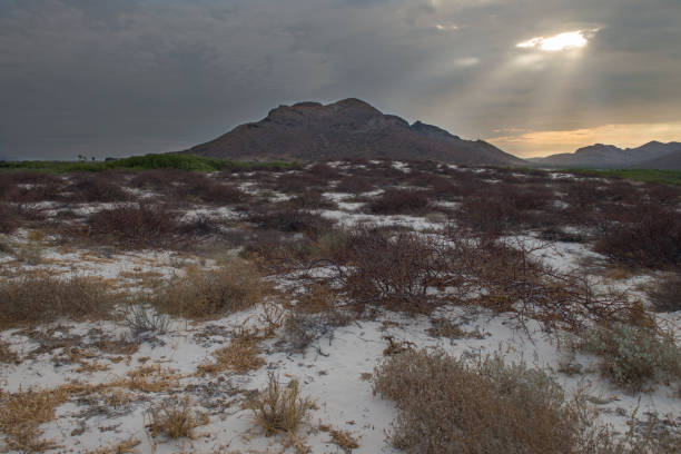 istock Sea and desert, the baja peninsula. MEXICO 1247361830