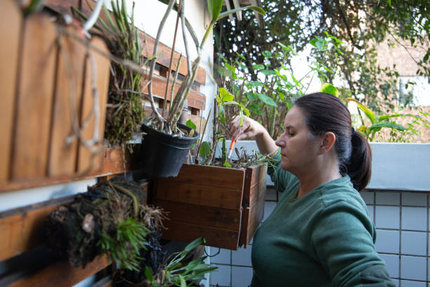 istock Woman gardening 1247365506