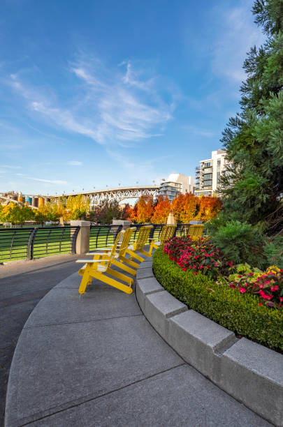 istock yellow chairs in George Wainborn Park, Vancouver 1247372896