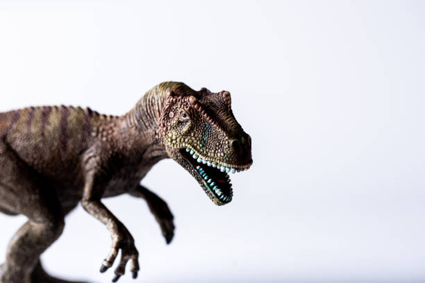 istock toy dinosaur on a white background 1247375161