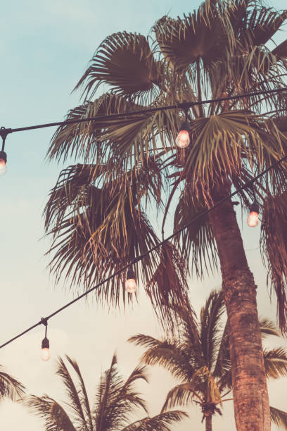 istock Trendy outdoor bulb garlands in tropical setting 1247388400