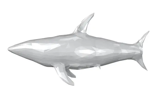 Photo of White polygonal shark