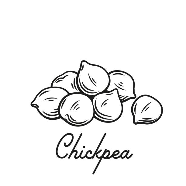 Heap of chickpeas vector art illustration