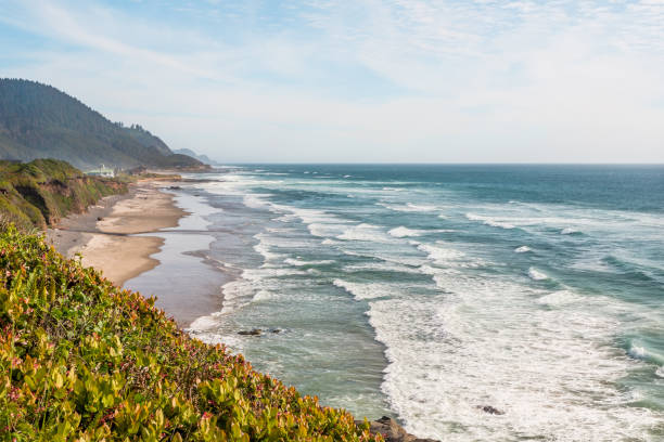 istock Stunning Pacific coastline in sunny day 1247410267
