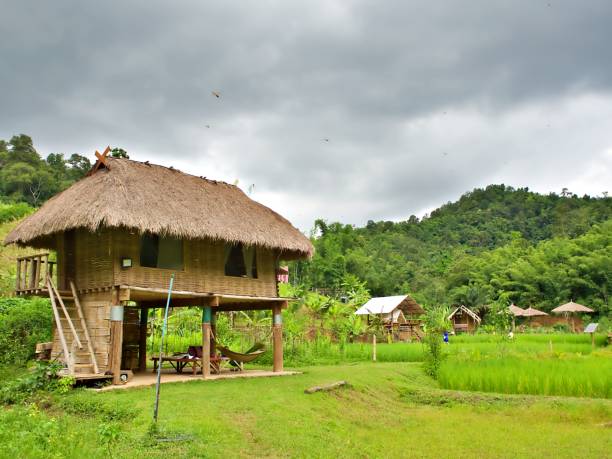 istock The cottage in the rural 1247440428