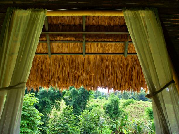 istock The bamboo window in rural 1247440947